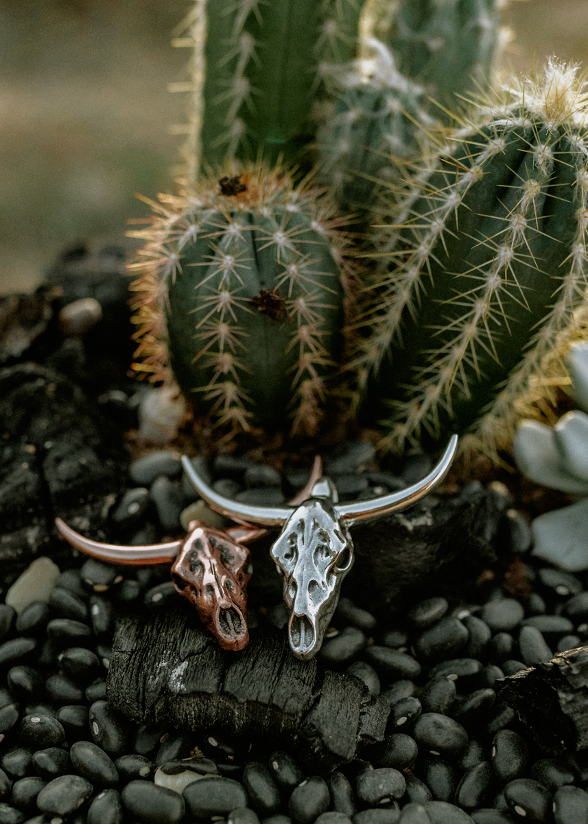 Sunburnt Longhorn Copper