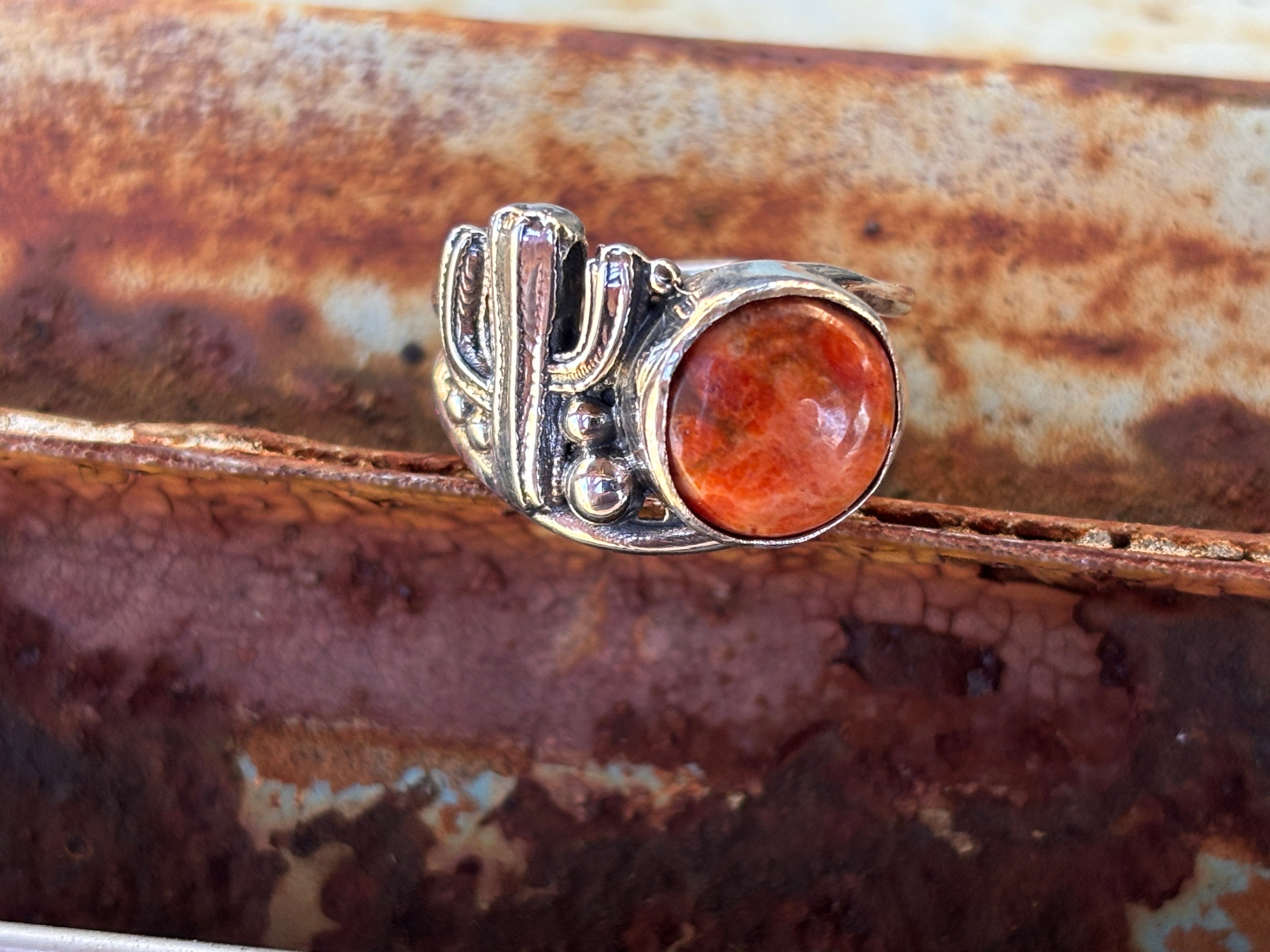 Desert Ring Round Stone Silver
